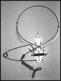Collarum - ACO Special