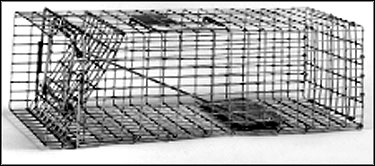 Safeguard Squirrel/Chipmunk trap