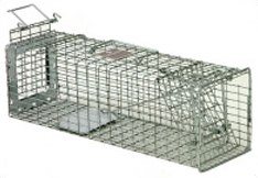 Squirrel Trap 18