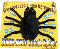 Attack Spider by Birds-Away