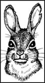 Cottontail Cager Rabbit Lure 4 oz.
