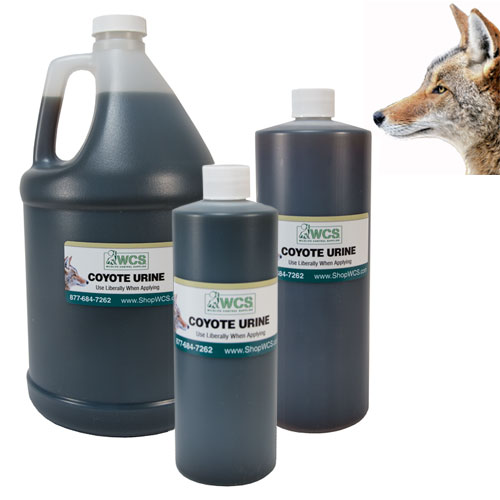 Lenon's Urine Choose From Bear, Bobcat, Coyote, Mink, Red Fox Wolf Urine 4 Oz To Gallon Sizes Since 1924 Wolf Gallon