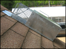 Trap Dock for Squirrel Traps