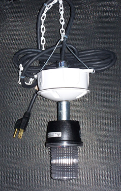 Squirrel Evictor - MB10K model