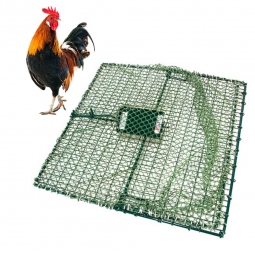 WCS™ E-Z Catch Bird Trap for Chicken & Duck (36" x 36")