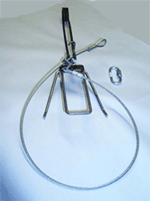Fremont Bear Foot Snare