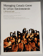 Managing Canada Geese in Urban Environments