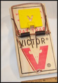 Victor Professional Rat Trap (12/case)