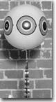 Scare Eye Balloon