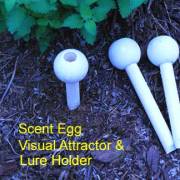 Scent Eggs Visual Attractor (doz.)