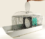 Traps for Birds