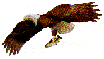 Flying Eagle Kite (assembled)