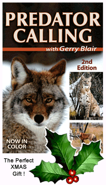 Predator Calling by Gerry Blair