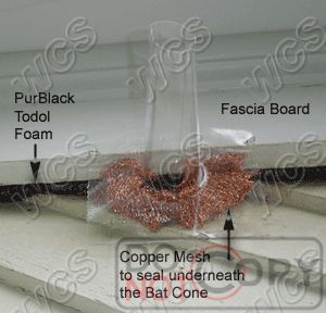 Standard bat cone for excluding bats from buildings