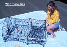 Turtle Trap
