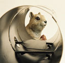 Squirrels view looking through TUBE Trap
