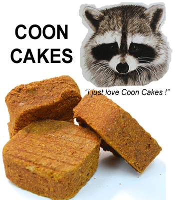coon cakes collage with face of raccoon