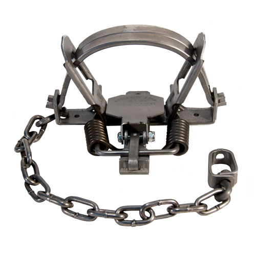 6 Bridger #1.5 Special Coil Spring Foothold Traps - Coyote Fox Trapping