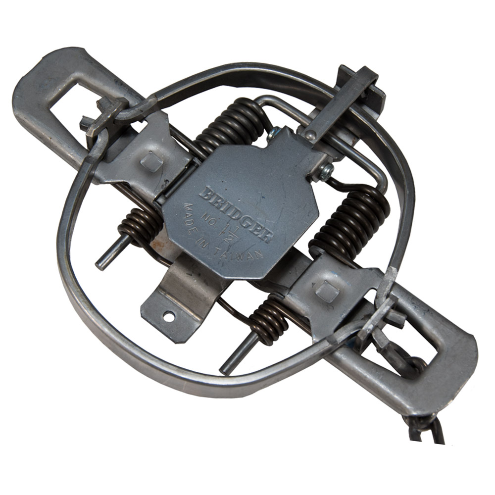 Bridger #1.5 4-Coil Trap - SIX