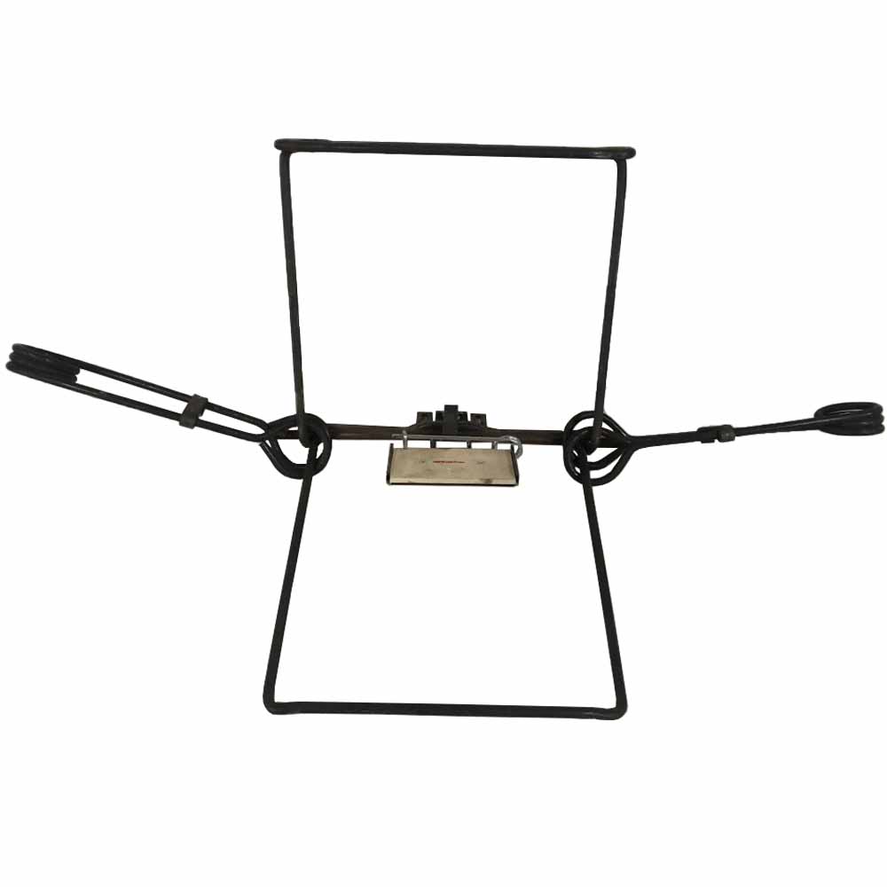 Koro #3  - Certified by A.I.H.T.S.