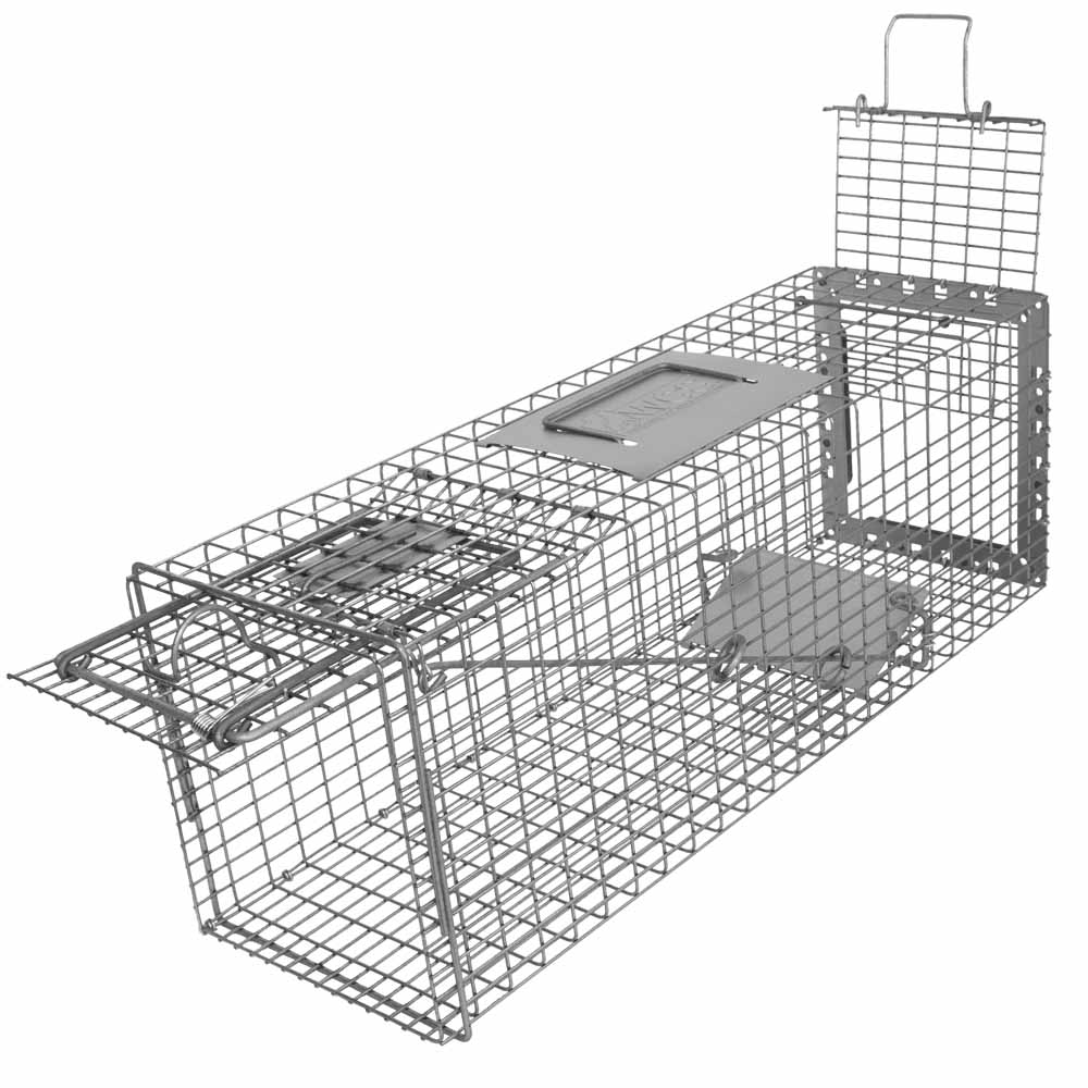 WCS™ Special PRO24 Cage Trap (Rear Release) Wildlife Control