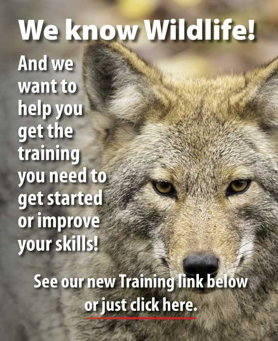 Wildlife Control Supplies Products For Wildlife Control Professionals