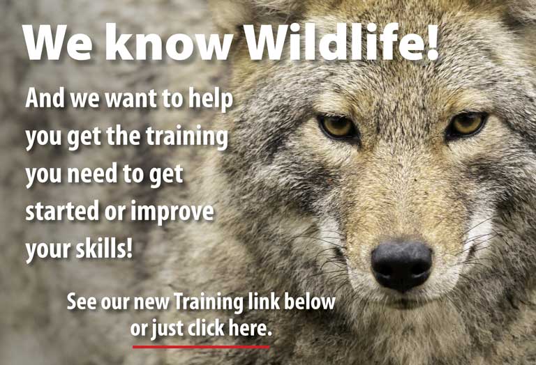 Wildlife Control Supplies Products For Wildlife Control Professionals