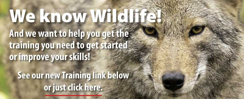 We know Wildlife! Our years of experience and vast  product offering deliver proven  solutions to Wildlife Professionals  worldwide.