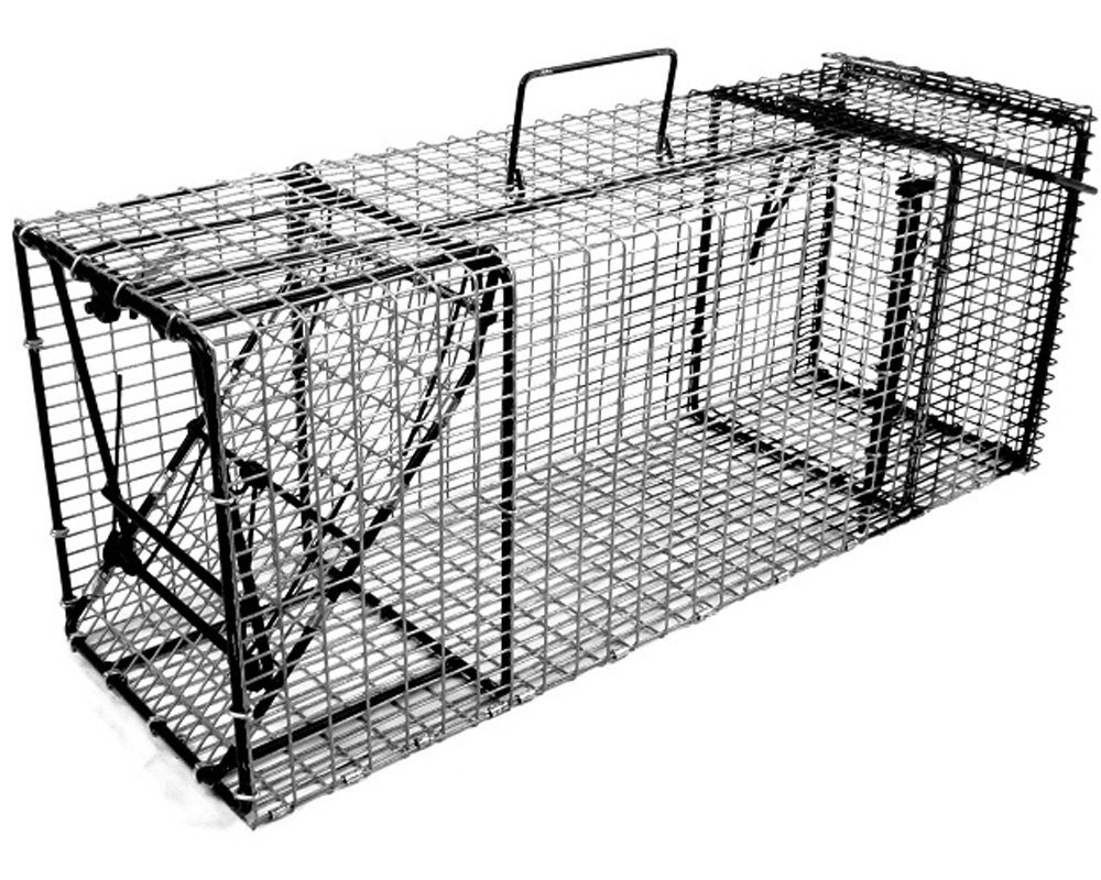 Comstock Single Door w/Rear Bait Door Trap - 24"