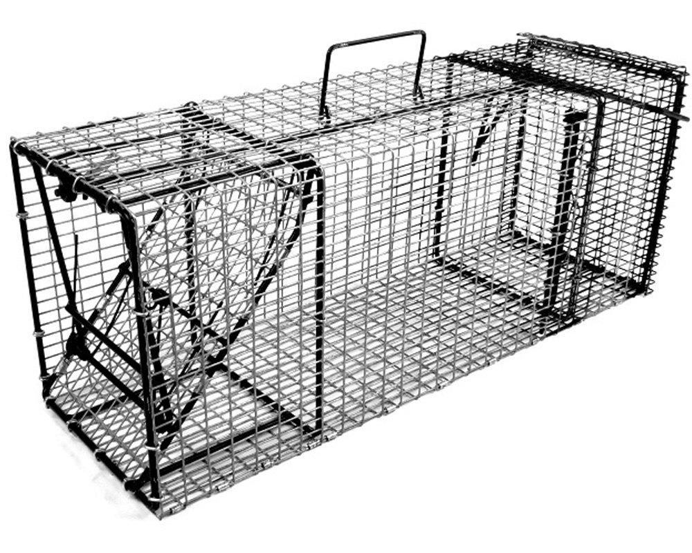 Comstock Single Door w/Rear Bait Door Trap - 30"