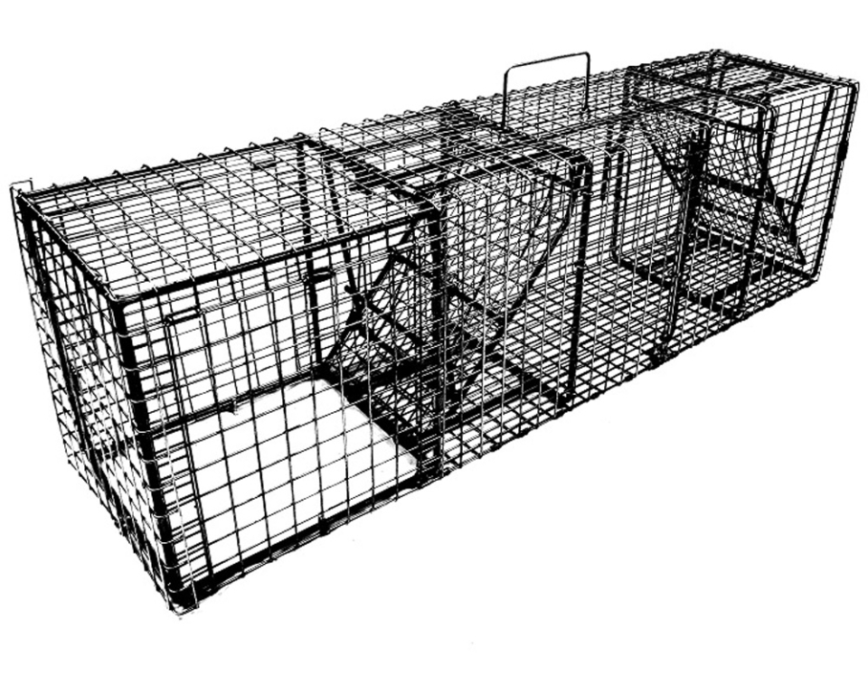 Wildlife Control Supplies: Comstock Multipurpose Double Door Trap