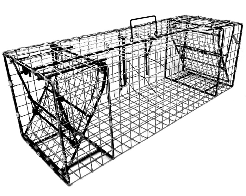CB12DD-36_main1_960x768.jpg