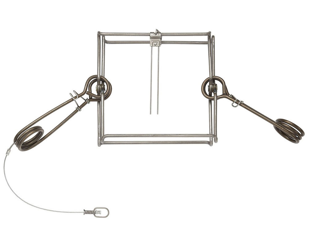 Foil】ショーケース 害獣駆除/Pest Control FOIL)(ショーケース枠)害獣