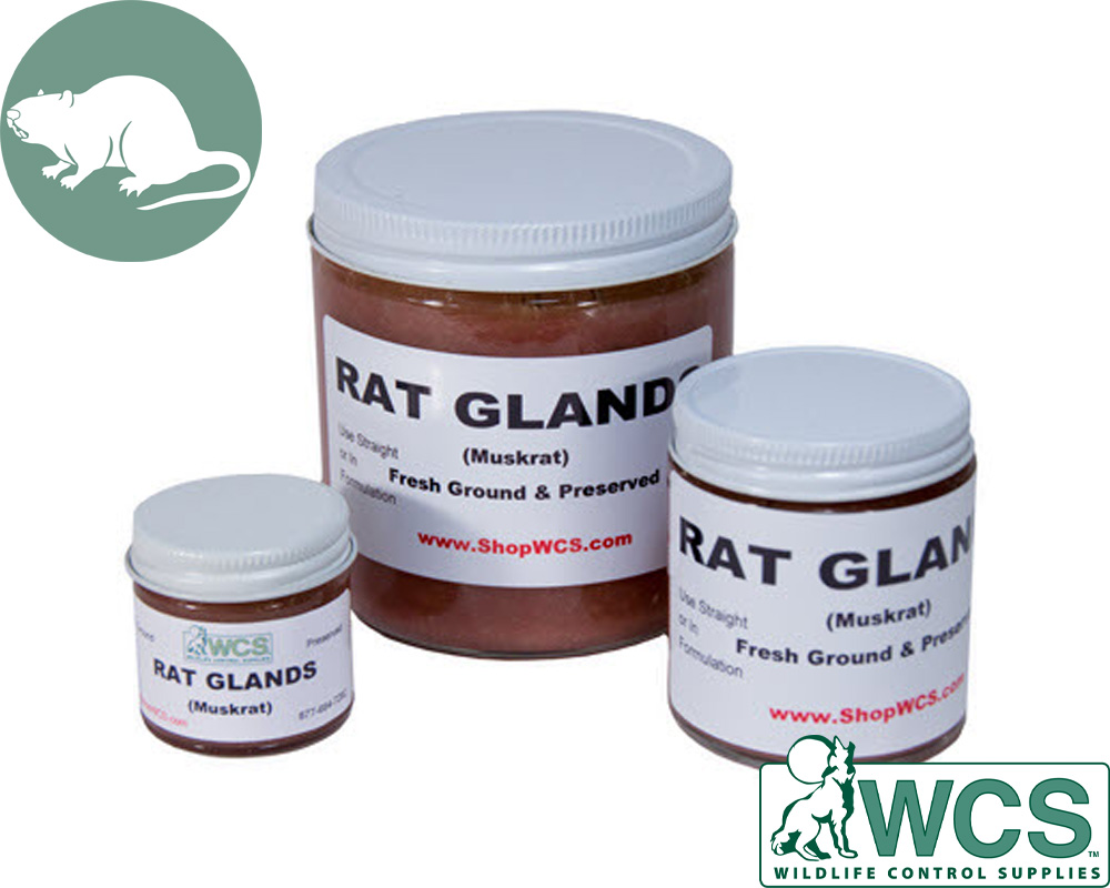 WCS™ Muskrat Glands - Ground & Preserved