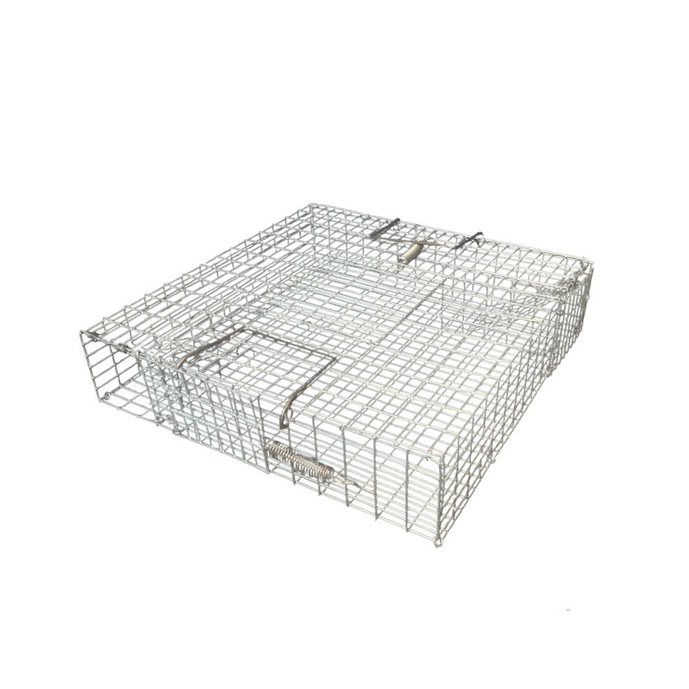 WCS™ Multi-Catch Chipmunk/Ground Squirrel Trap | Wildlife Control