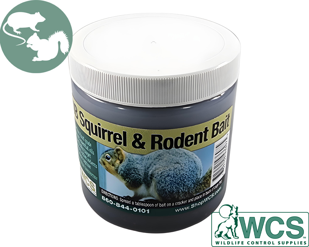 Don't Use Rat Poison in Your Home for These 3 Reasons - Animal Capture  Wildlife Control