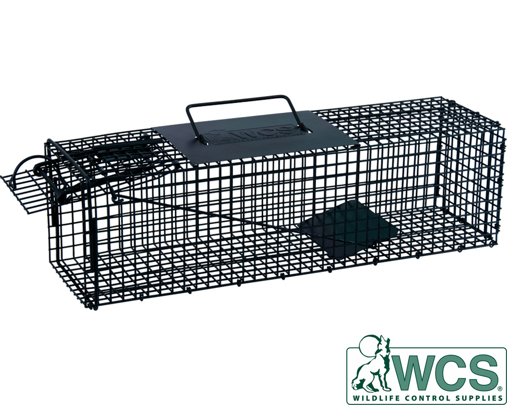 Cage Traps Part 1 – WCS Canada store