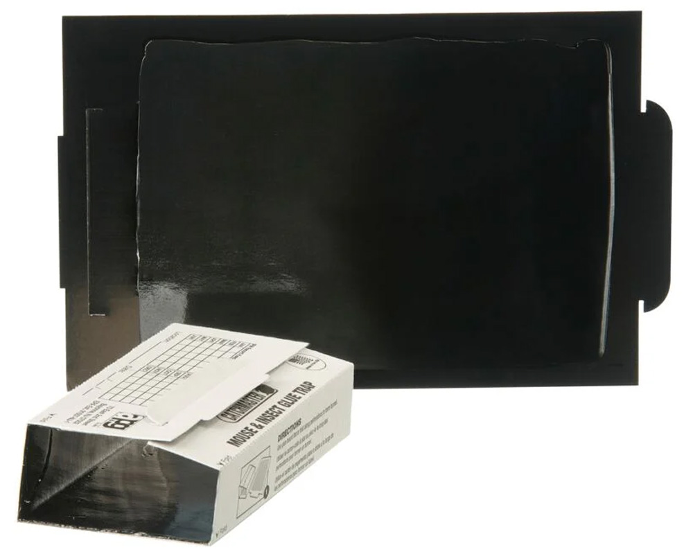 Catchmaster® Black Glue Side Mouse Glue Boards - CASE of 72