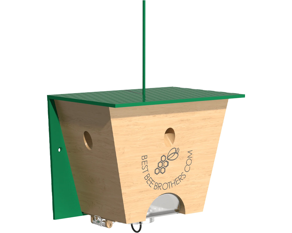 Carpenter Bee Turbo Trap