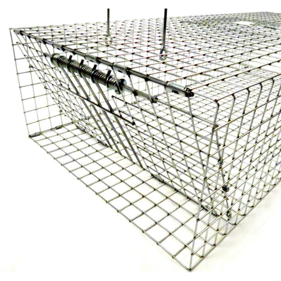 Wildlife Control Supplies: Tomahawk Model 502R - Rigid Pigeon Trap