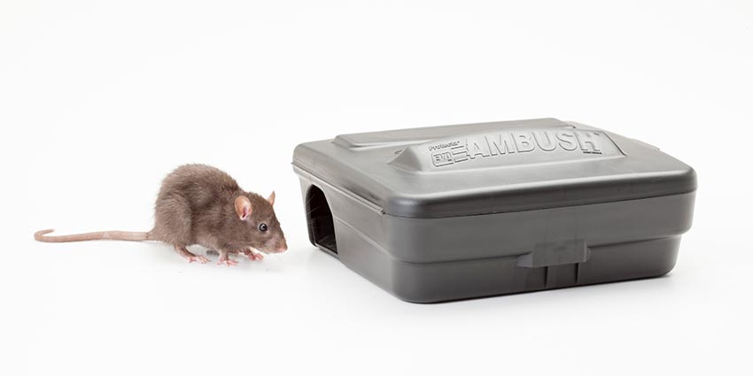 6 Protecta Sidekick Rat Mouse Rodent Control Bait Stations & 18 lb Contrac Blox 