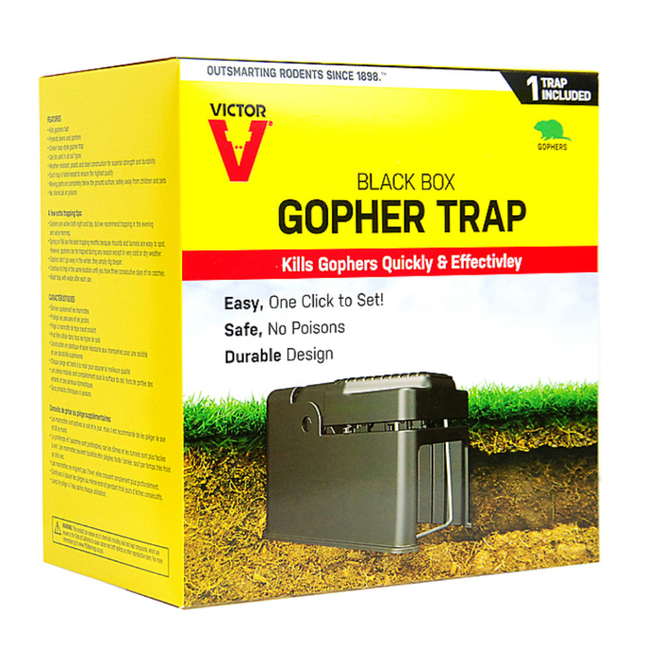 Wildlife Control Supplies: Black Box Gopher Trap - Dozen