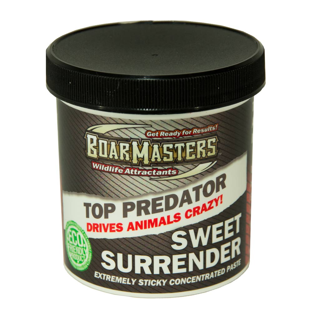Boarmasters Sweet Surrender