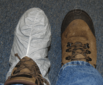 yuleys reusable shoe covers