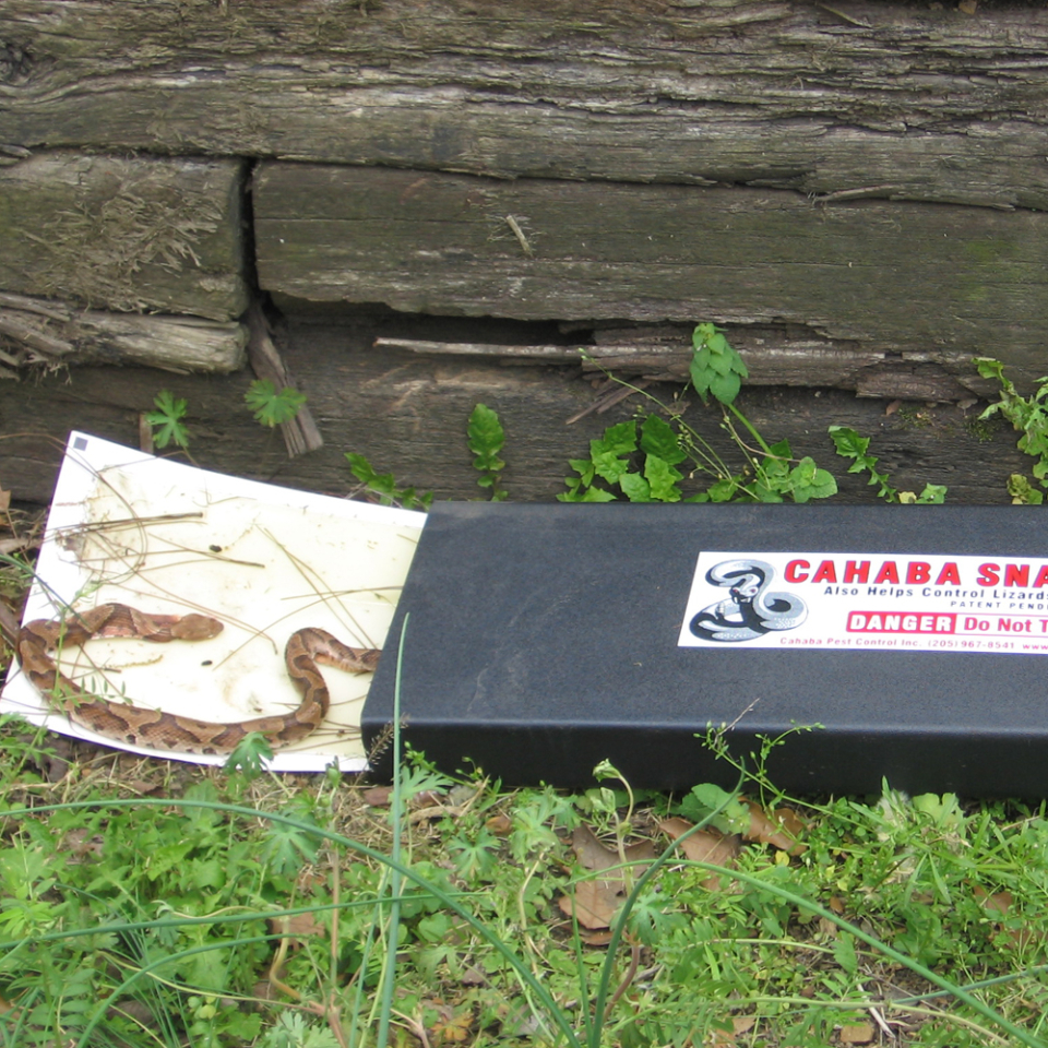 Cahaba Snake Trap - Thumbnail 4