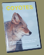 COYOTES - Predator Calling Teaching Aid