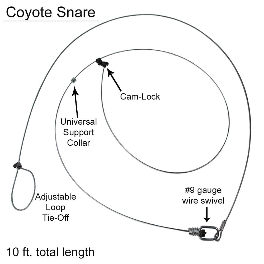 Coyote Snares (DOZEN), Wildlife Control Supplies