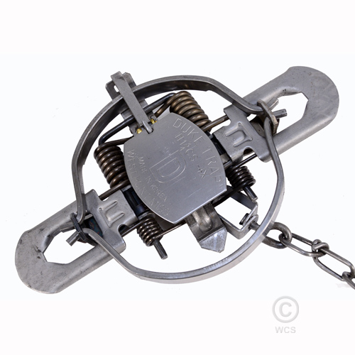 Duke 1 3/4 Four Coil Standard Jaw Traps - Single