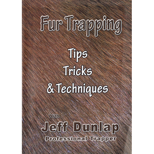 Trapping 101: How to Start Trapping