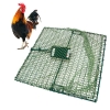 WCS™ E-Z Catch Bird Trap for Chicken & Duck (36